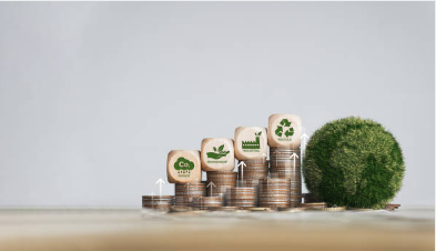 탄소중립포인트 자동차 신청