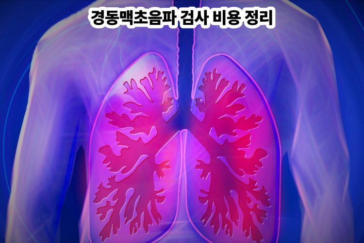 경동맥초음파 검사비용 총정리