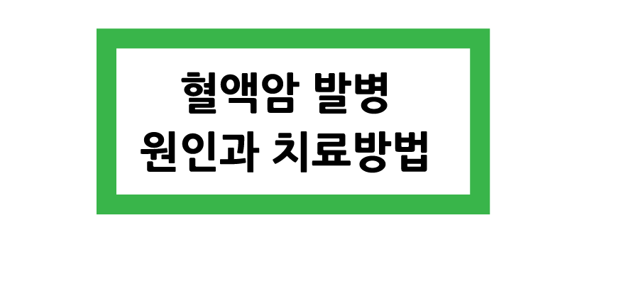 Alt 속성 문제 해결 설명 이미지