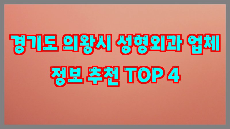 경기도 의왕시 성형외과