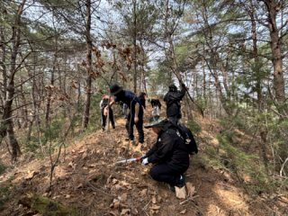 식목일 공휴일 폐지 이유와 날짜 의미