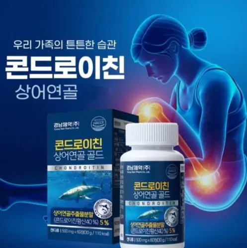 콘드로이친 효능
