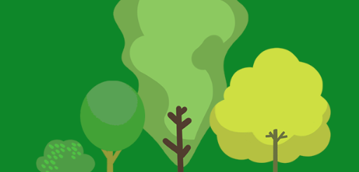 점봉산 곰배령 탐방예약 꿀팁(선착순) 코스안내