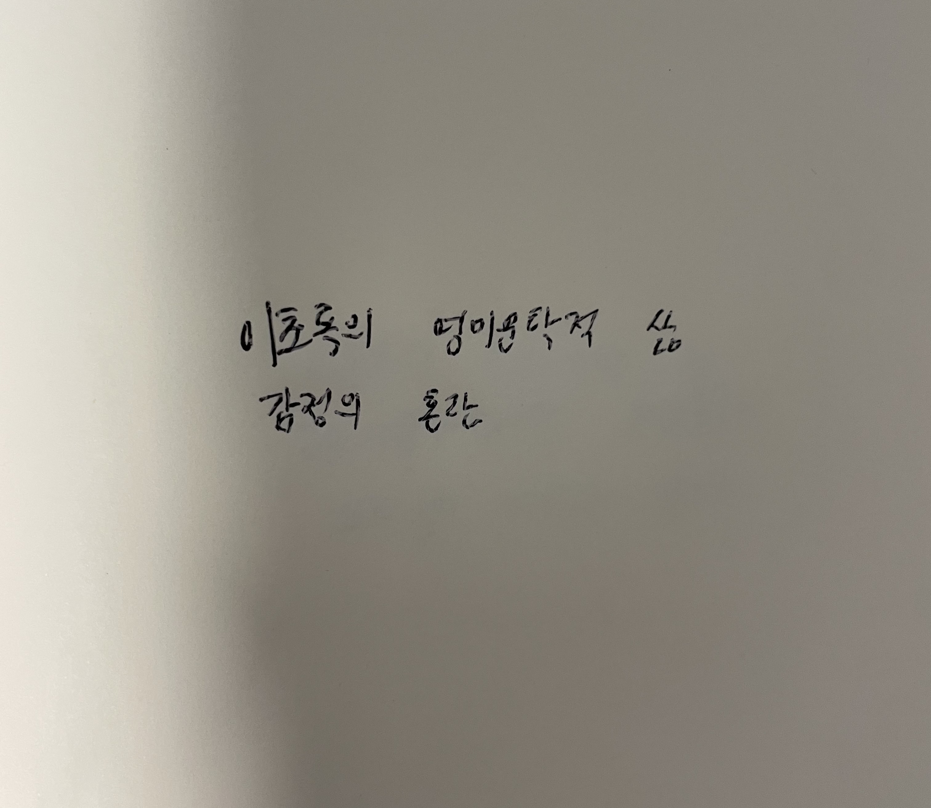 이초록의 영미문학적 삶- 감정의 혼란 슈테판 츠바이크 손글씨