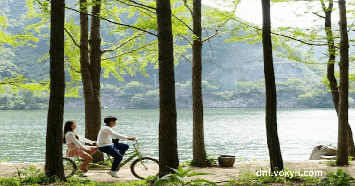 남이섬에서 남여가 평화로운 자전거 타는 모습