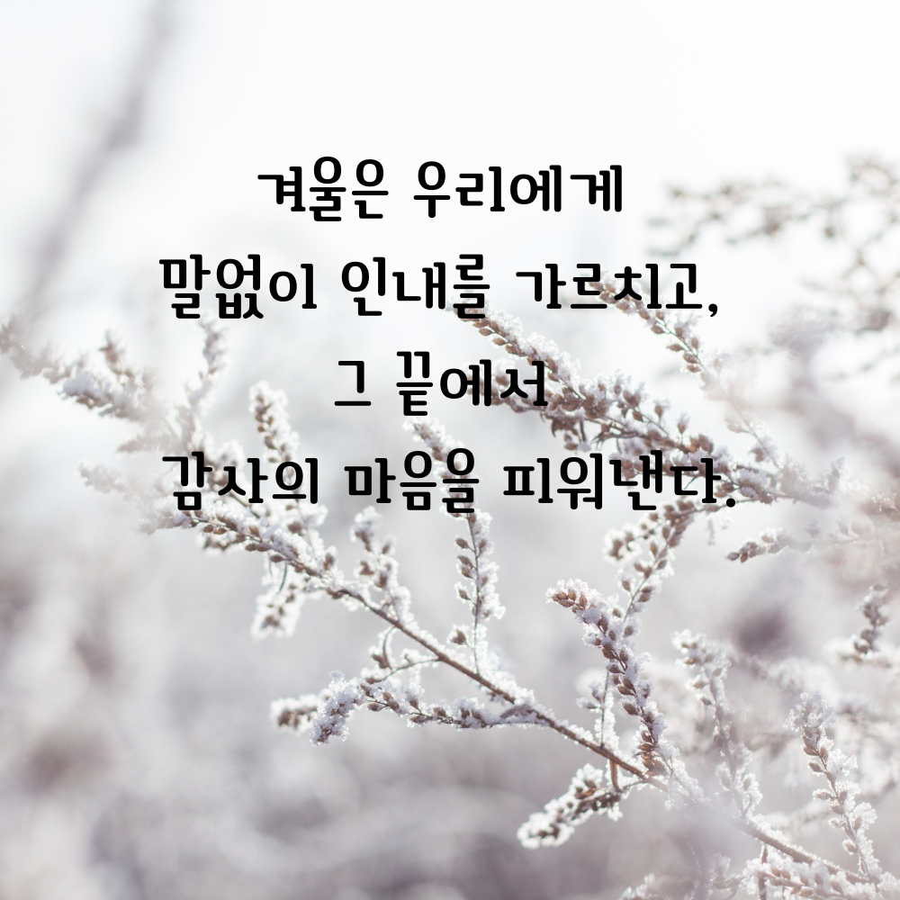 겨울 좋은 글귀 겨울 명언 문구 이미지