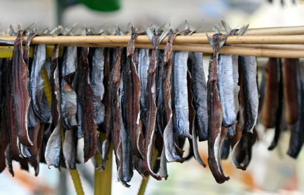 과메기 맛있게 먹는법, 과메기 야채 종류, 남은 과메기 보관법, 과메기 총정리