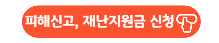 피해신고, 재난지원금 신청