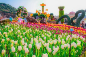 에버랜드 튤립축제