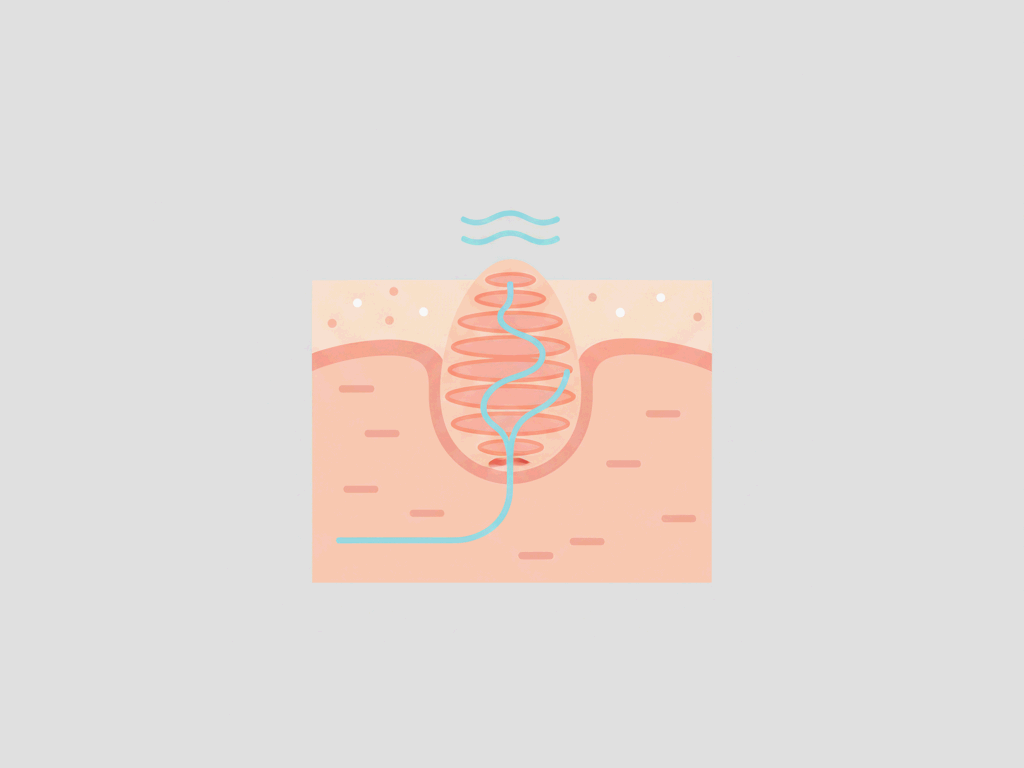 피부 수용기 시스템: 다양한 감각의 집합 이미지