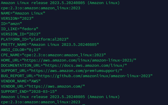 본인 OS 버전 확인