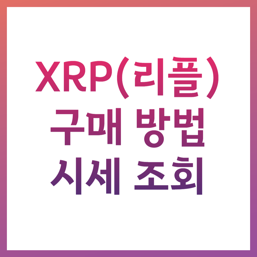 XRP(리플) 구매 방법 시세 조회 거래소 주의사항