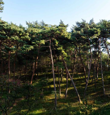 충남 가볼만한곳 베스트10