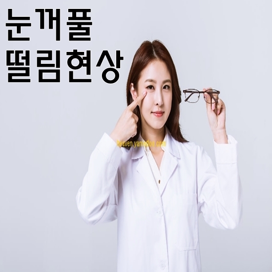 눈꺼풀 떨림현상