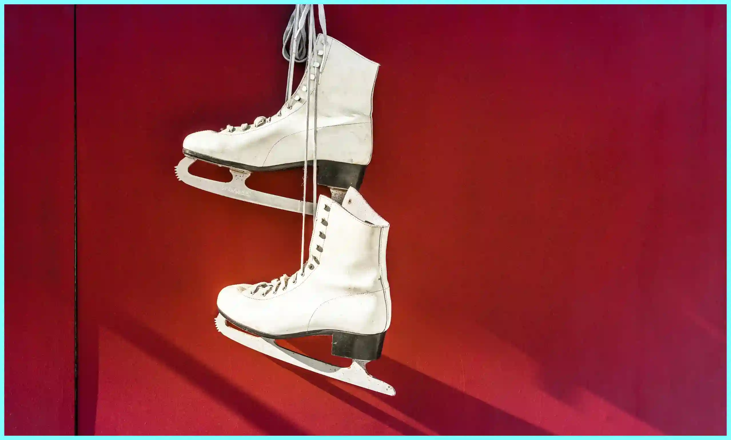 쇼트트랙 월드컵 일정 국가대표 명단 결과 월드 투어 2024-25