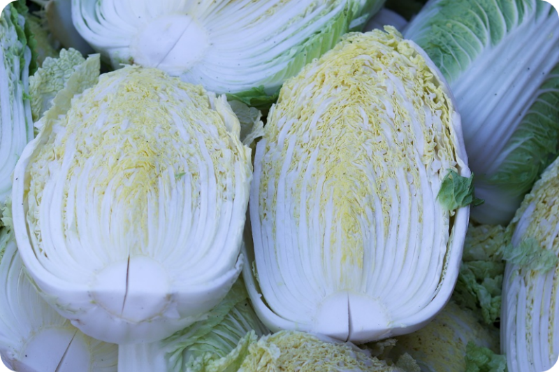 2. 배추의 신선도를 오래 유지하는 보관법