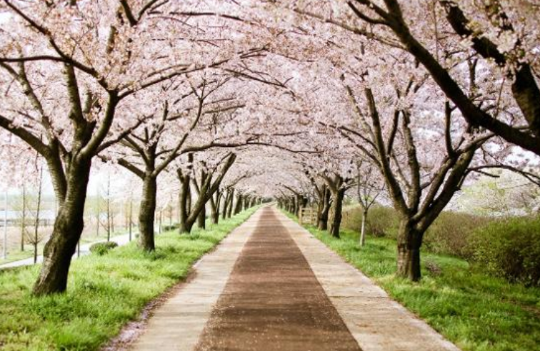 부산 맥도생태공원