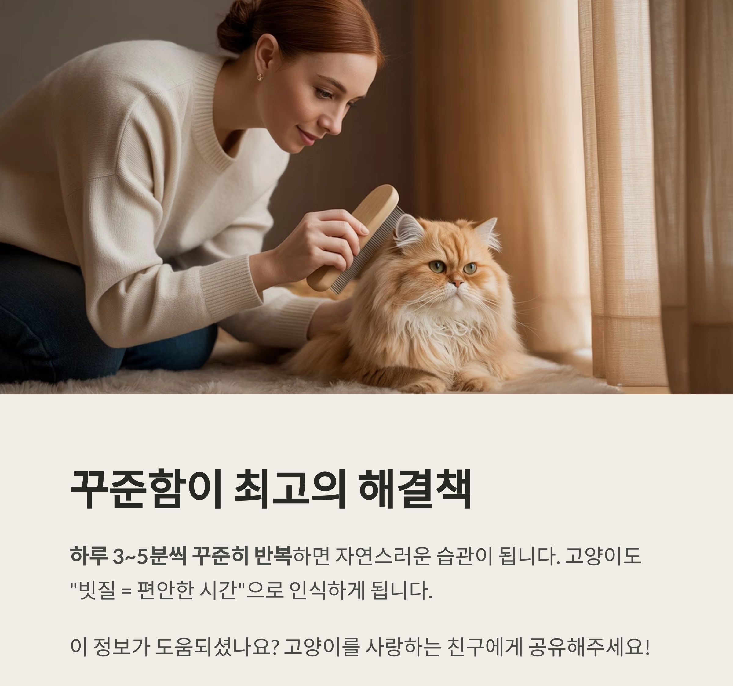 매일 빗질 : 고양이 털 빠짐을 막는 가장 쉬운 방법
