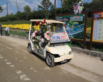 보은 대추축제_5