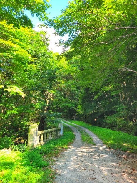 담양 가마골계곡