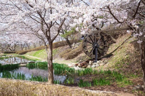 화동못수변공원