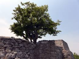 10월 서울근교 가볼만한 곳 베스트