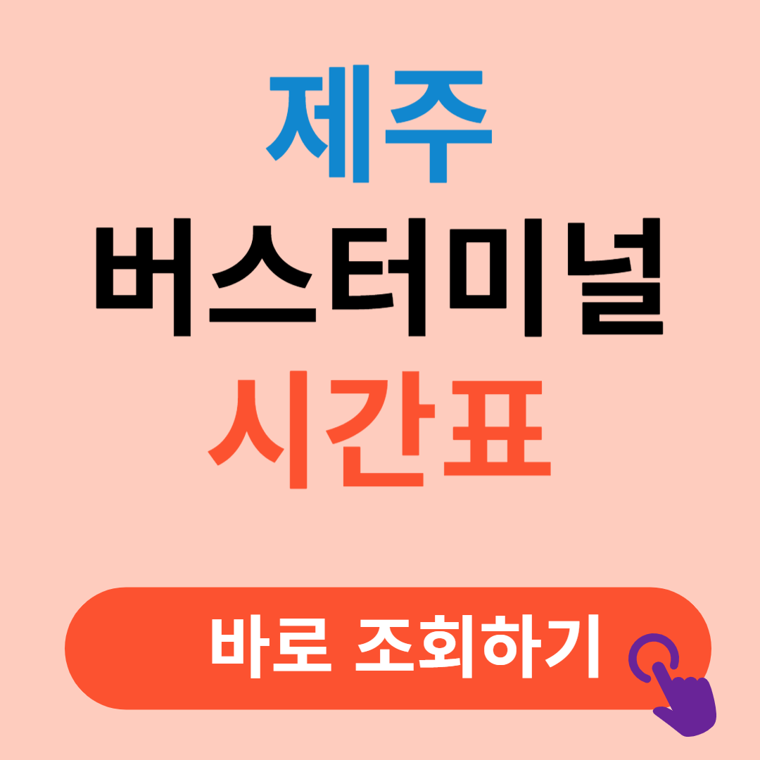 제주버스터미널 시간표 예매절차