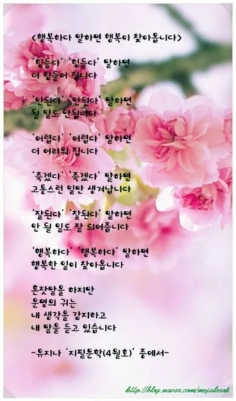 병문안 쾌유 인사 문자 예문 빠른 회복 기원 문장 모음_21
