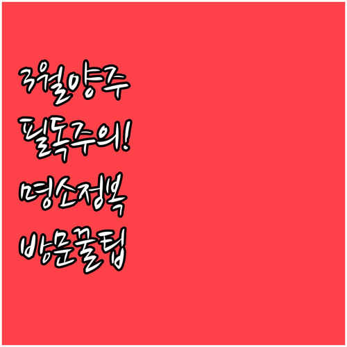 3월 양주 여행 전 필독 사항 주요 ..