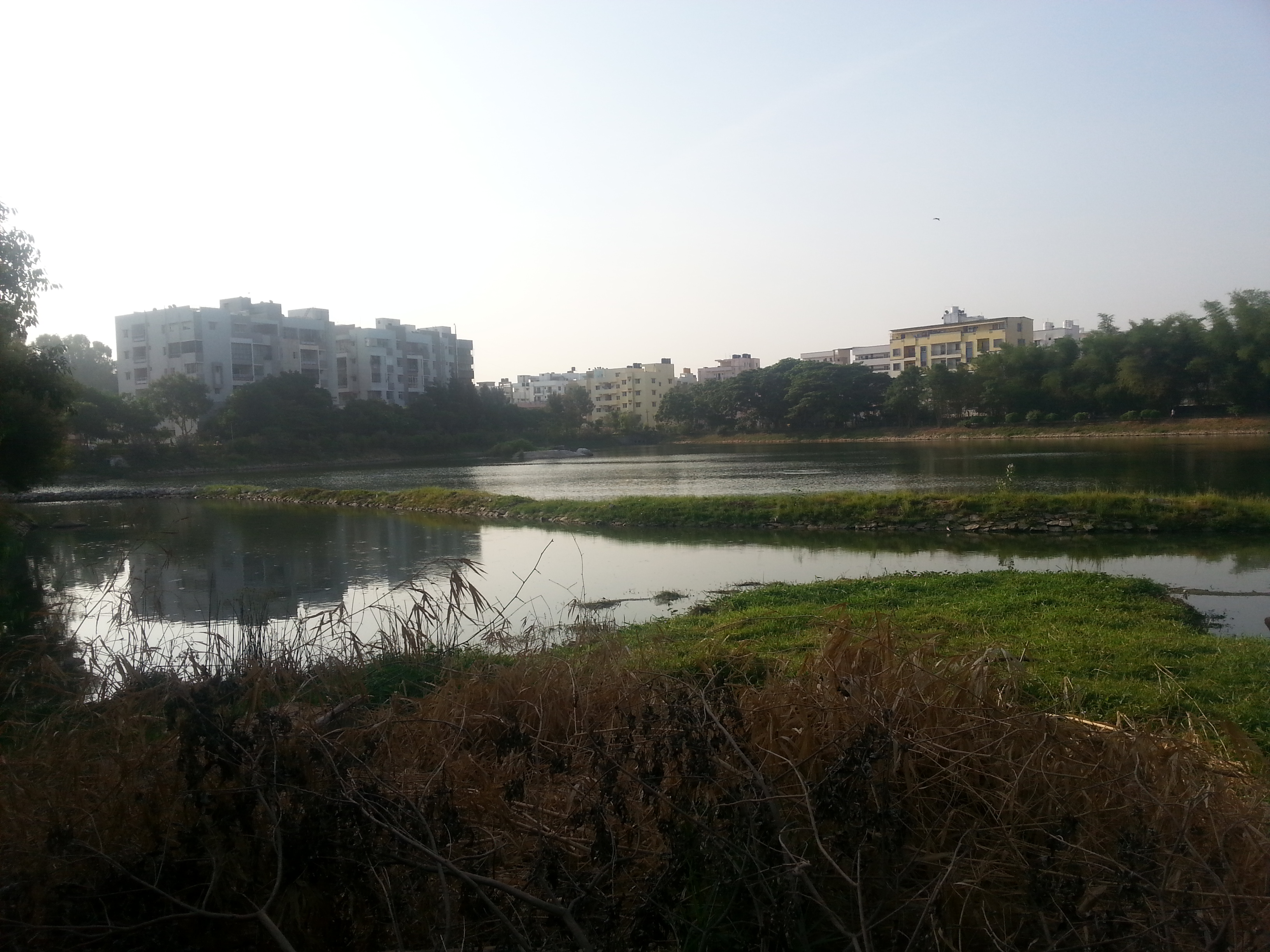 인도 벵갈루루 호수 공원2