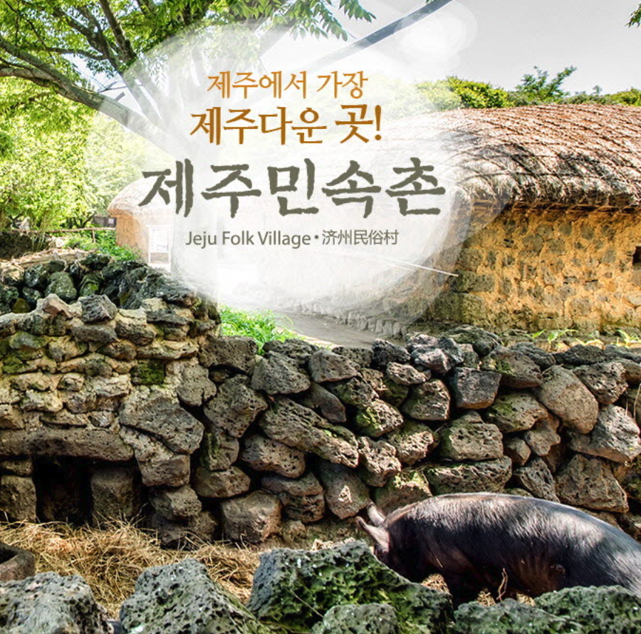 제주민속촌 메밀꽃축제 일정 체험행사 즐길거리 근처 맛집 주차 정보