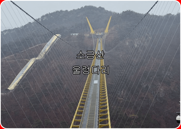 원주 소금산 출렁다리 등산코스