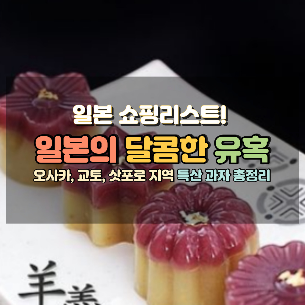 일본쇼핑리스트