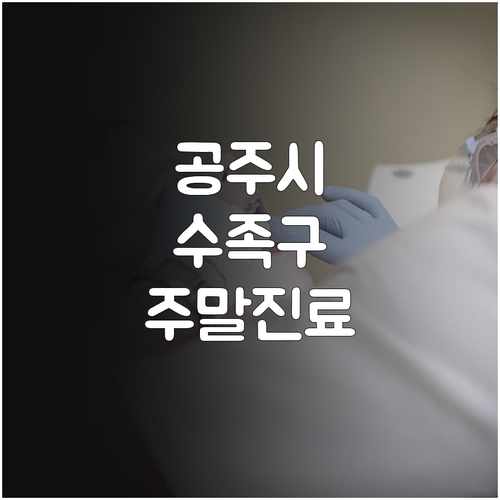 공주시 주말 진료하는 수족구 병원 정..