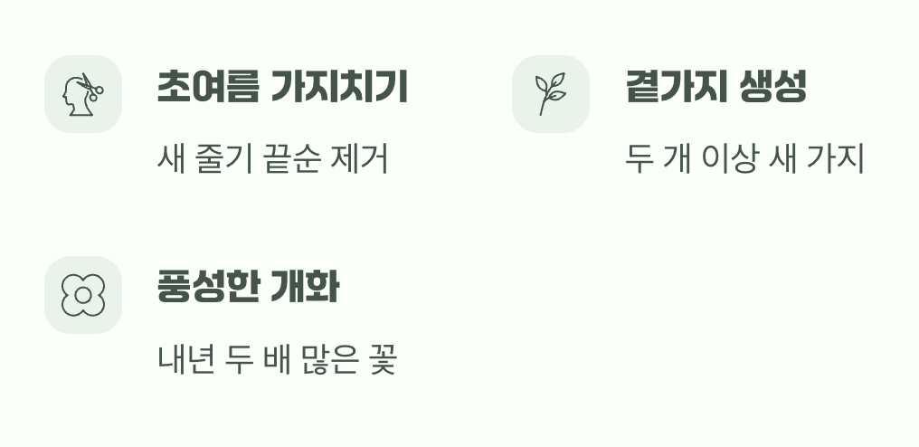 다섯 번째 과제&amp;#44; 내년을 기약하는 똑똑한 순지르기