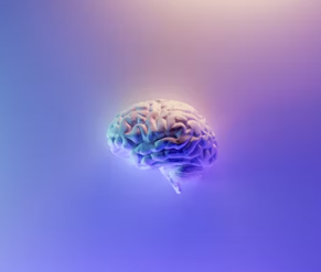 뇌졸중 전조증상 5가지 예방법 원인