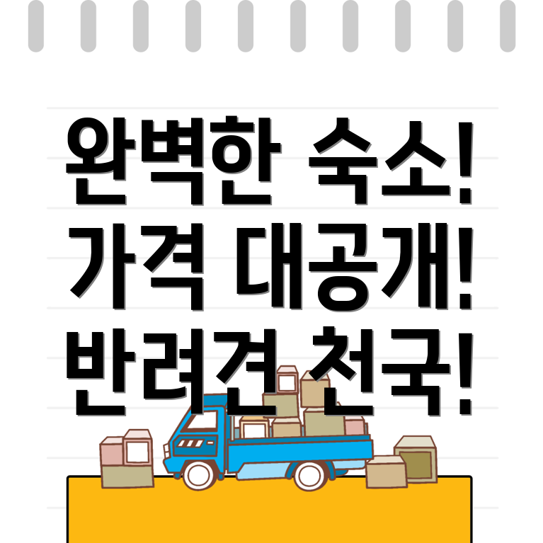 팔덕면 반려견 호텔