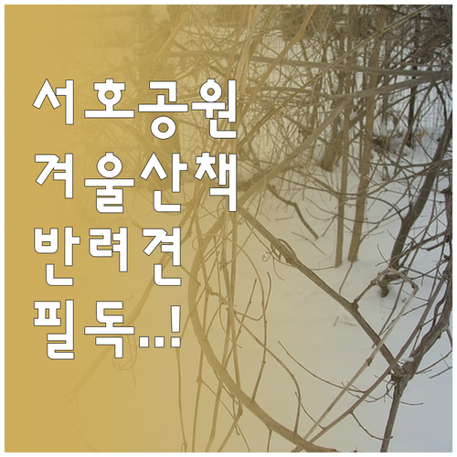 수원 서호공원 겨울 산책 준비물과 반..