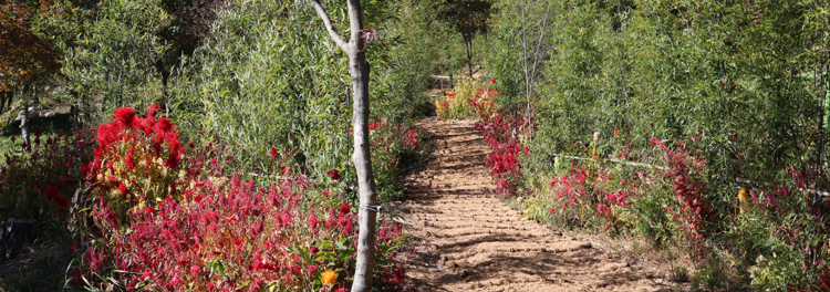 화성 우리꽃식물원