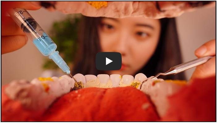 ASMR 유튜버 순위 TOP 10 4