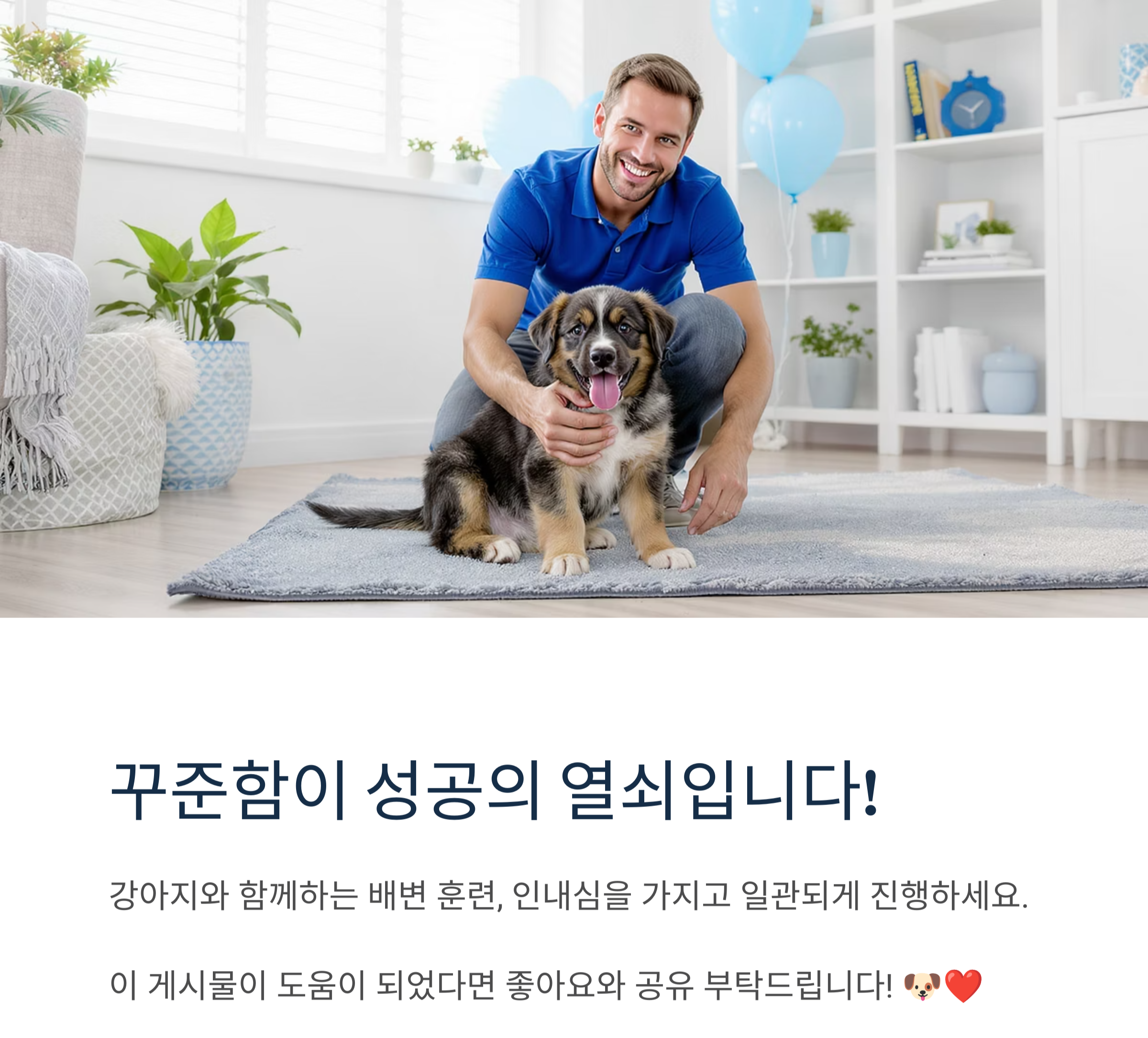 강아지 배변 훈련 완전 정복 가이드, 초보 집사 필독!