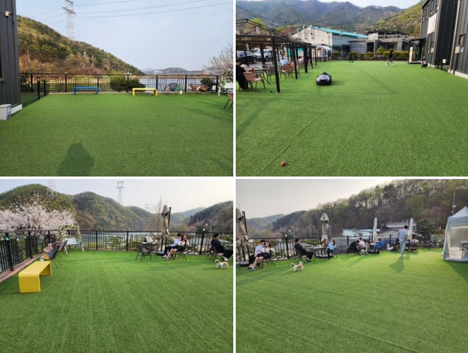 경기 광주 애견 카페