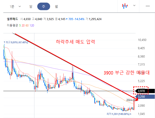 셀루메드 주봉차트 현황