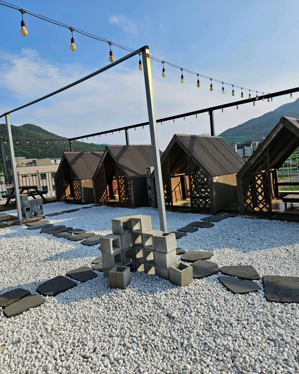 오늘N 커피 한잔할래요? 경북 경주시 식물원 분위기 카페 오베르 경주여행 갈만한 곳 오늘N 2501회