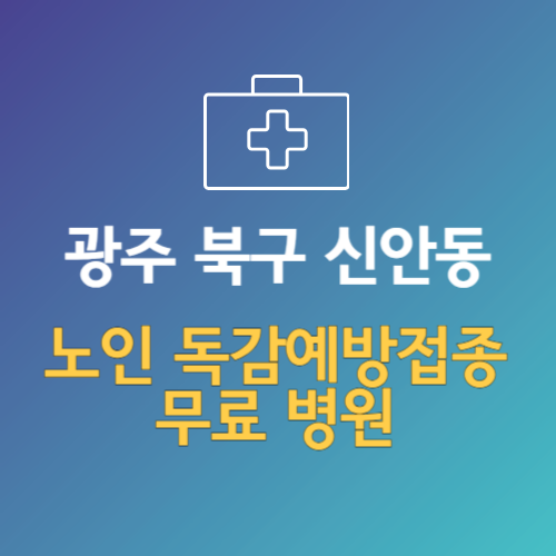 광주 북구 신안동 노인 독감예방접종 무료 병원 (인플루엔자 무료 접종 대상 날짜)