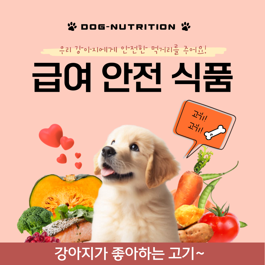 dog & meat