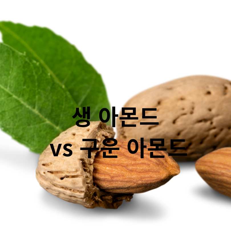 아몬드 효능과 부작용, 하루 섭취량 총정리