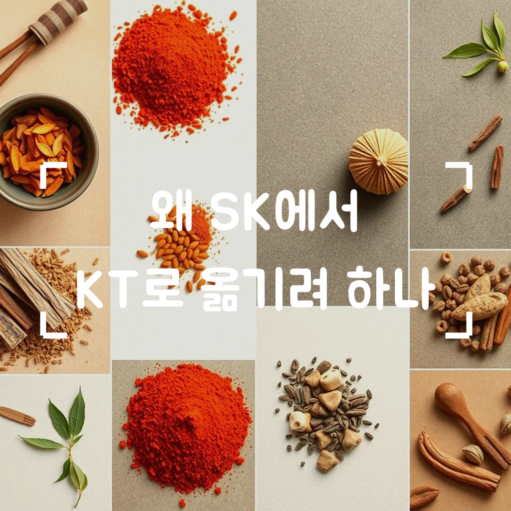 SK에서 KT로 갈아탈까? 주변 질문에 직접 정리해본 통신사 비교