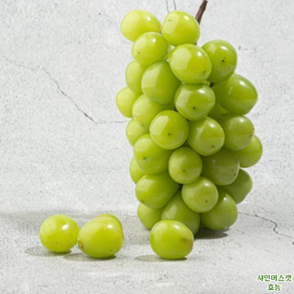 샤인머스켓 효능│샤인머스켓 효능 알고 드세요!