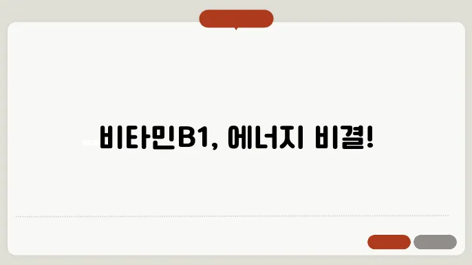 비타민B1의 효능